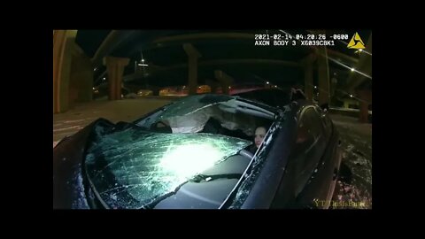 Highway cameras show driver plunge off overpass and body cam footage at the scene