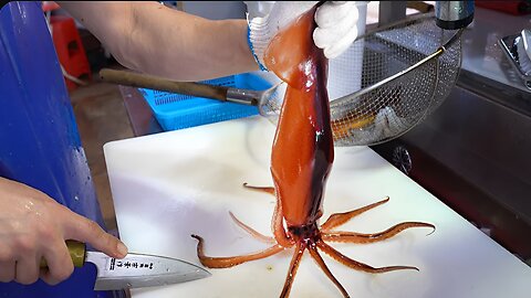 Raw fish - How to trim live squid and gizzard sashimi