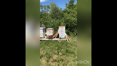 2023 Honey Harvest