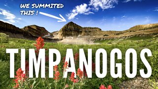 SUMMITING MOUNT TIMPANOGOS 4K | ONE OF THE MOST BEAUTIFUL HIKES TO DATE ! #timpanogos #utah
