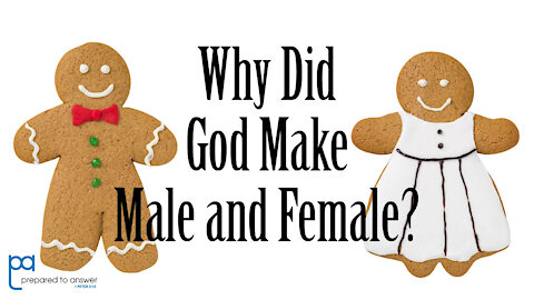 Why Did God Create Male and Female?
