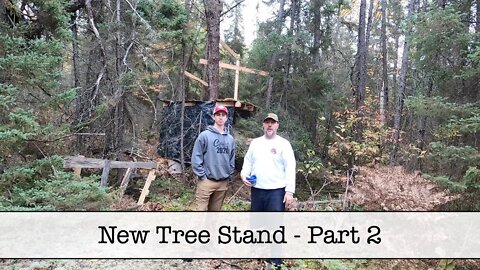 New Tree Stand - Part 2