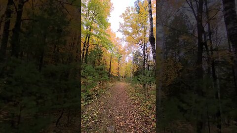 Sturgeon Bay Fall #shorts #wisconsin #travel #vlog #hike #virtualtour #beauty #fall #viral