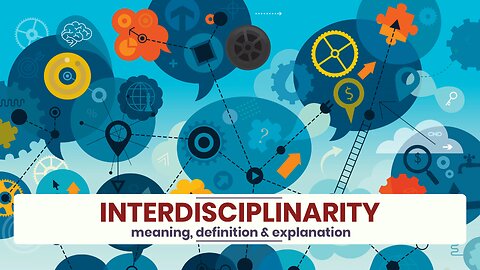 What is INTERDISCIPLINARITY?