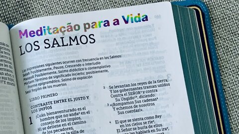 SALMO 31 - Lamentação e Fé - Vídeo 32