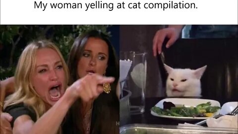My Woman Yelling At Cat Compilation (111319*)