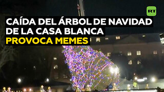 Un árbol de Navidad de la Casa Blanca cae y desata ola de memes