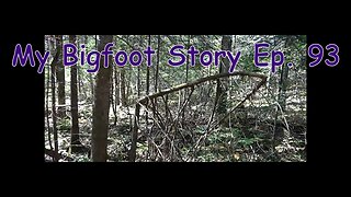 My Bigfoot Story Ep 93 Knocking and X's What's Real Anymore