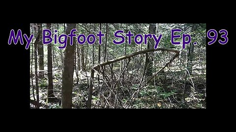 My Bigfoot Story Ep 93 Knocking and X's What's Real Anymore