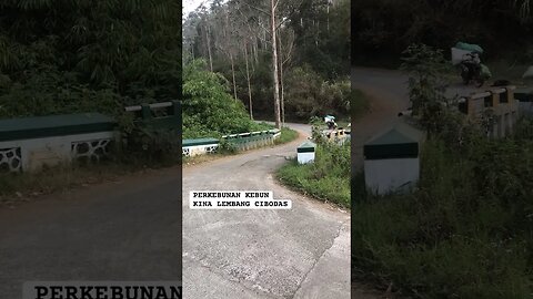 Alam kebun kina lembang - JAWA BARAT