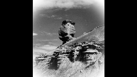 Avian Sphinxes in the Petrified Forest