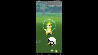 Pokémon GO-Shiny Buizel