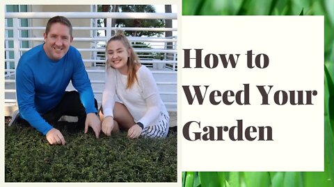 How To Weed Your Garden (SERIES PART 5 OF 5)