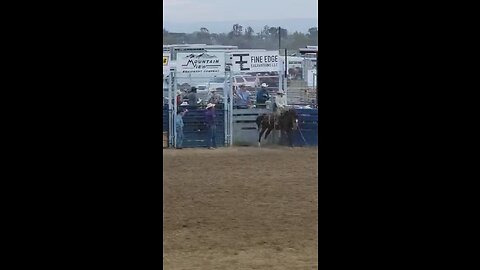 Kuna rodeo