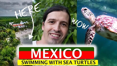 MEXICO | SWIMMING WITH SEA TURTLES, WOW
