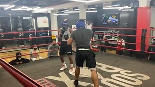 No fight sparring a national USA champion