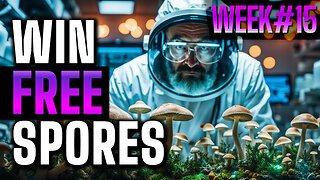Grow your own mushrooms - Win free spores from spores101
