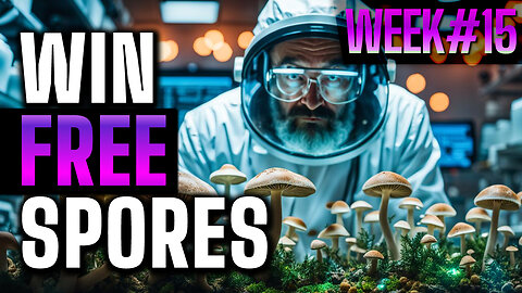 Grow your own mushrooms - Win free spores from spores101