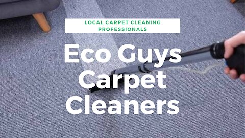 Eco Guys Carpet Cleaners