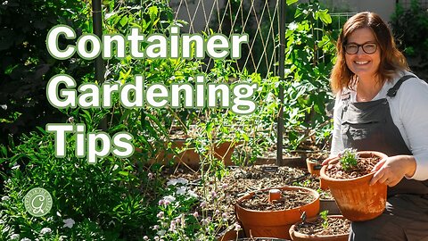 Master Container Gardening with These Tips
