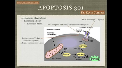 Apoptosis 301 - Alternative Cancer Dr. Kevin Conners