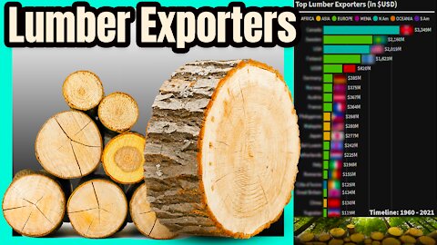 World's Top LUMBER Exporters 🌲📊