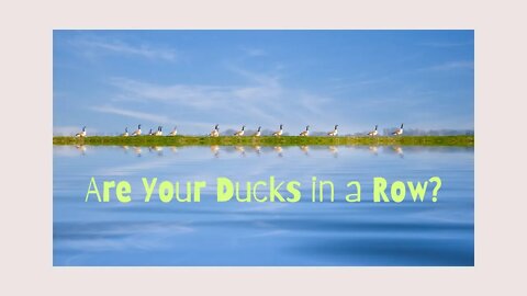 Are Your Ducks in a Row?