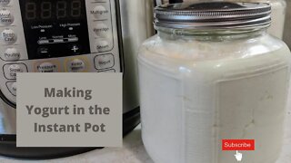 Yogurt made in the Instant Pot