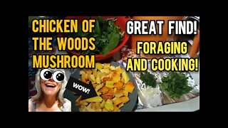 Foraging and Cooking Chicken of the Woods Mushroom with Wild Greens - Ann's Tiny Life and Homestead