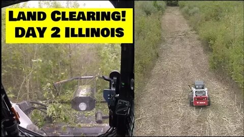 A new land clearing project DAY 2. Illinois land management Bobcat T650 CTL clearing land!