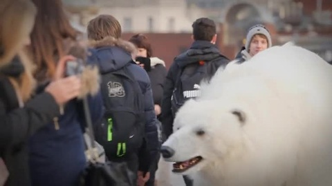 Giant Polar Bear Puppet Roams The Streets Of London