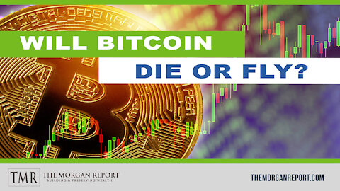 Will Bitcoin Die or Fly?
