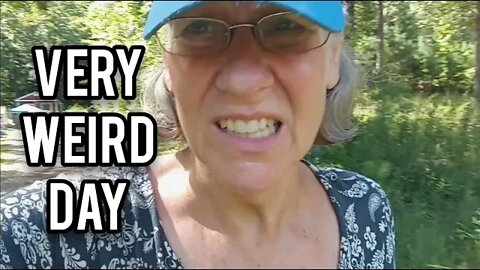 Very Weird Day - Ann's Tiny Life and Homestead