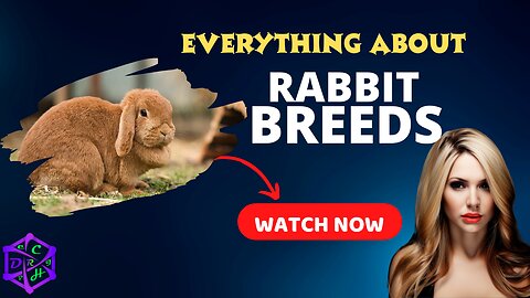 The Top 10 Most Popular Rabbit Breeds
