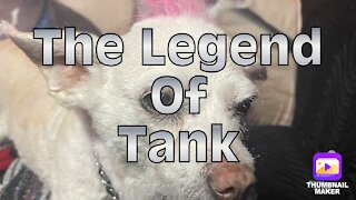 The Legend Of Tank
