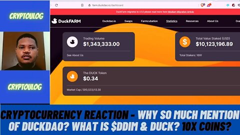 Cryptocurrency Reaction - Why So Much Mention Of DuckDAO? What Is $DDIM & DUCK? 10x Coins?