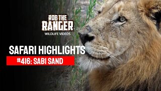 Safari Highlights #416: 23 - 25 June 2016 | Sabi Sand Wildtuin | Latest Wildlife Sightings