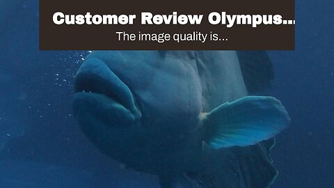 2023 Review Olympus Underwater Case PT-059 for TG-6,Black