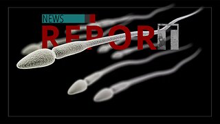 Catholic — News Report — Sperm Crisis