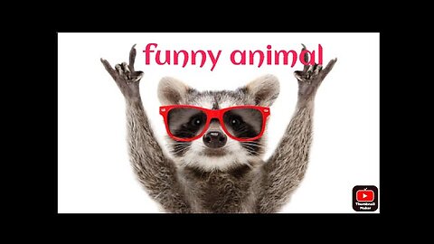 Funniest Animals 2023 | Best Funny Cats and Dogs | Funny Animal Videos 2023
