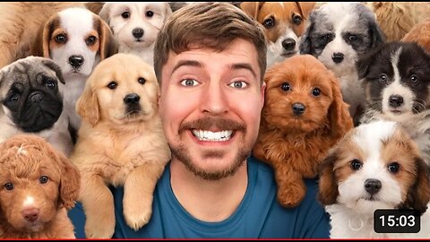 @MRBEAST RESCUED 100 ABANDONED DOGS