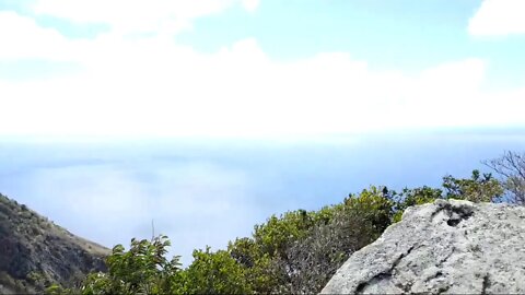 Saba Island Rain Foerst Top