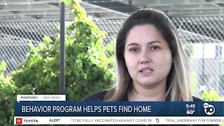 SDHS Behavior Center Program helps animals get adopted