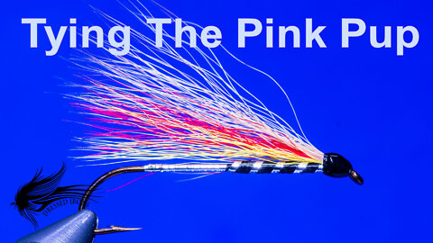 Tying The Pink Pup - Dressed Irons