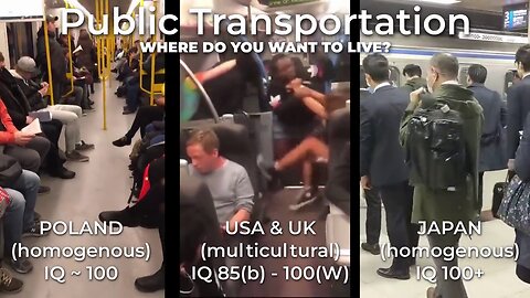 Public transportation in Poland and Japan vs the US/UK (One of these is not like the others) 🤨
