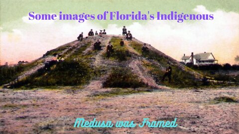 A quick one here....just a few images of the Florida Indigenous