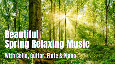 Beautiful Spring 🌿 Relaxing Music with 🎻 Cello, Guitar, Flute and Piano
