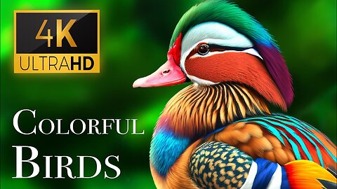 The Most Colorful Birds in 4K - Beautiful Birds Sound in the Forest