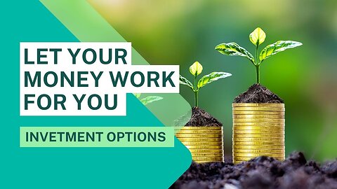 How to make your money work for you - Investment Options