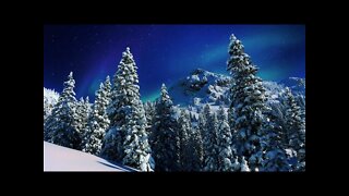 Winter Instrumental Music – Spruce Forest [2 Hour Version]